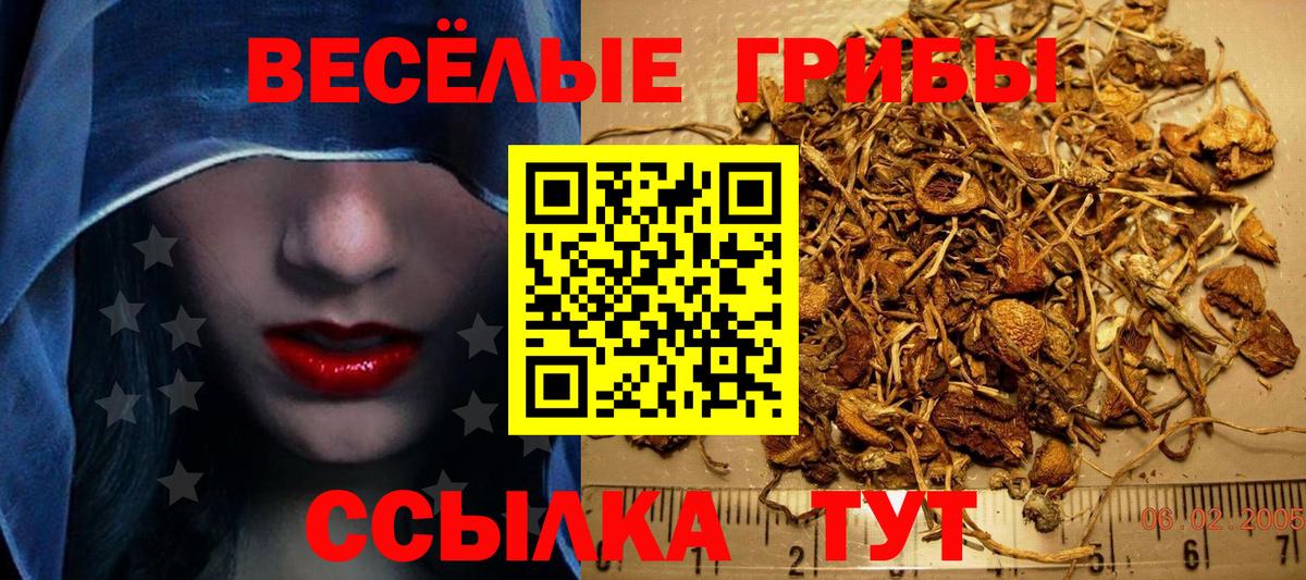 Псилоцибиновые грибы мухоморы Нальчик